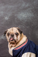 Wilbur