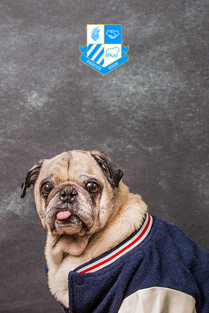 Wilbur
