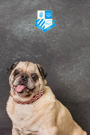 Wilbur