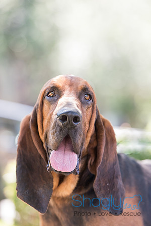 Duke