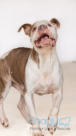 Boomer Jack