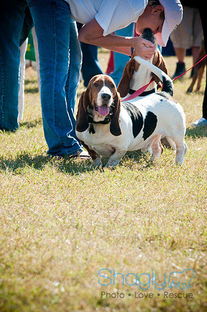 Richardson Pet Day-0419