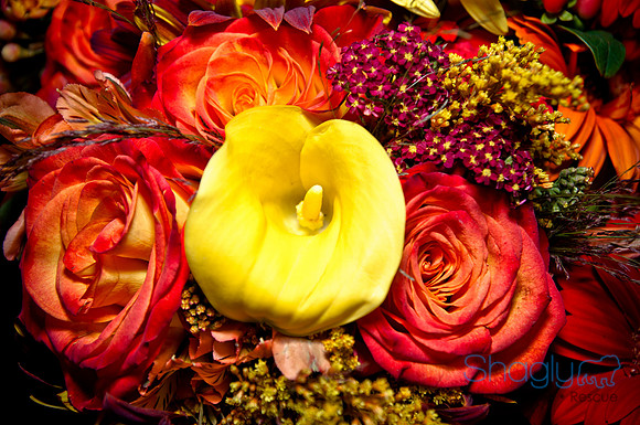 Talia and Ramon Wedding-358