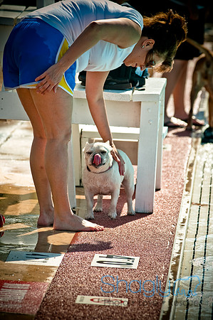 Dog-A-Poolooza-18