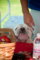 Dog-A-Poolooza-5