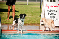 Dog-A-Poolooza-10