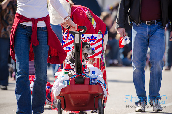 Krewe of Barkus 2012-223
