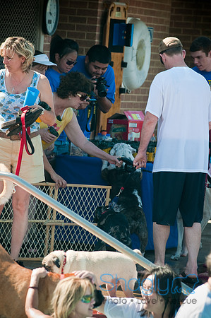 Dog-A-Poolooza-15
