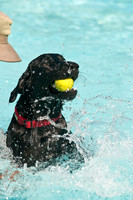 Dog-A-Poolooza-1