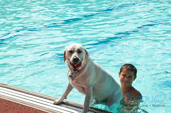 Dog-A-Poolooza-85