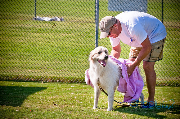 Dog-A-Poolooza-31
