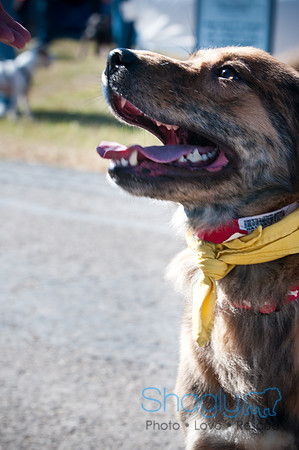 Richardson Pet Day-0359