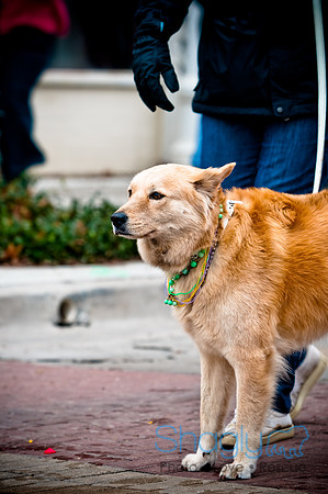 Krewe of Barkus-71
