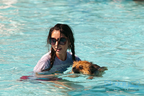 Dog-A-Poolooza-42