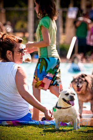 Dog-A-Poolooza-33