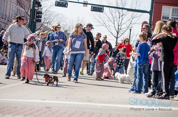 Krewe of Barkus 2012-170