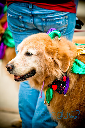 Krewe of Barkus-92