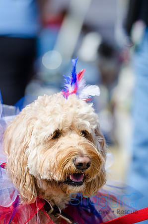 Krewe of Barkus 2012-71