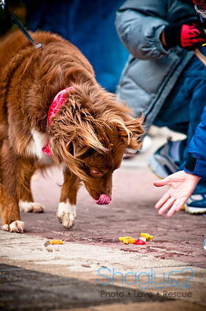 Krewe of Barkus-50