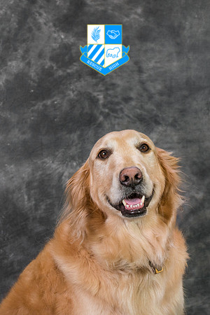 Aggie Mensik