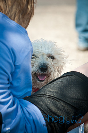 Richardson Pet Day-0176