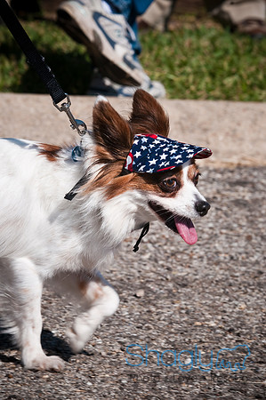 Richardson Pet Day-0299