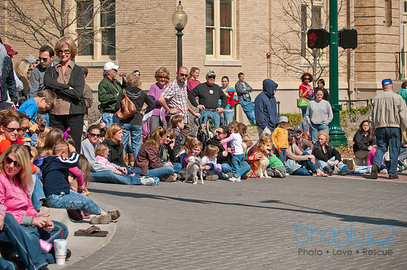 Krewe of Barkus 2011-59