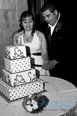 Talia and Ramon Wedding-380