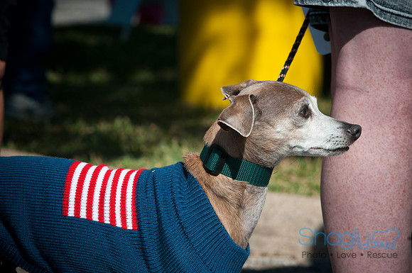 Richardson Pet Day-0180