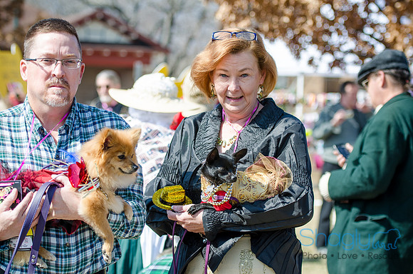 Krewe of Barkus 2012-22