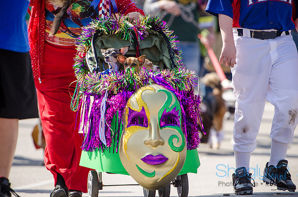 Krewe of Barkus 2012-212