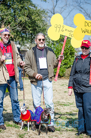 Krewe of Barkus 2012-28
