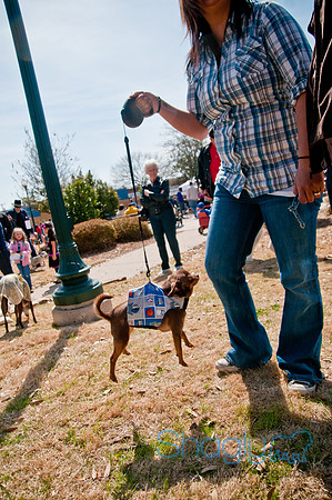 Krewe of Barkus 2011-22