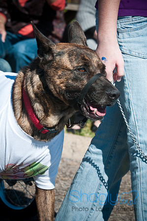 Richardson Pet Day-0264