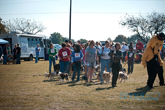Richardson Pet Day-0316