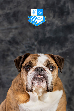 Pumba Nardecchia