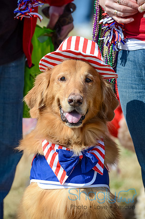 Krewe of Barkus 2012-69