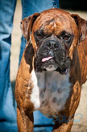 Richardson Pet Day-0410