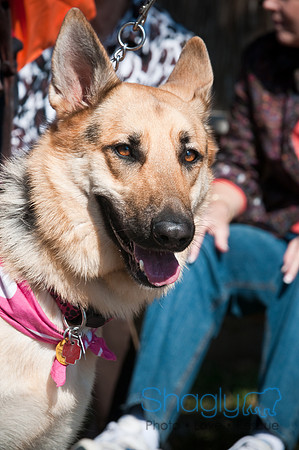 Richardson Pet Day-0248