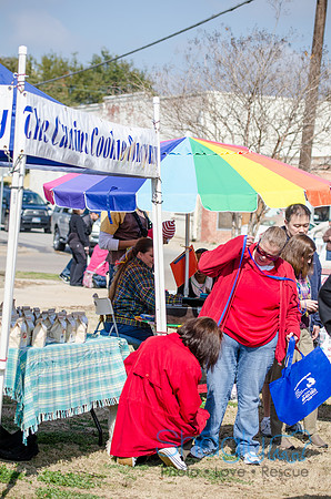 Krewe of Barkus 2012-124