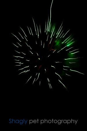 Ballon Fest-4694