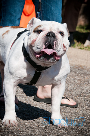 Richardson Pet Day-0300