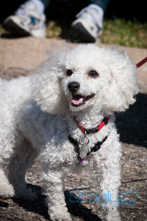 Richardson Pet Day-0270