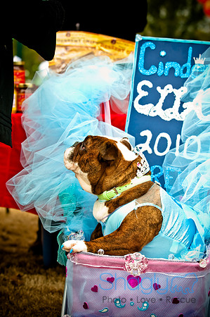 Krewe of Barkus-76