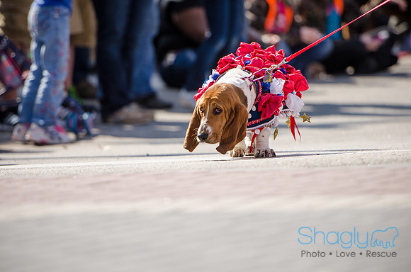 Krewe of Barkus 2012-224