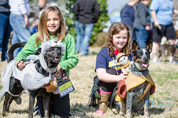 Krewe of Barkus 2012-130