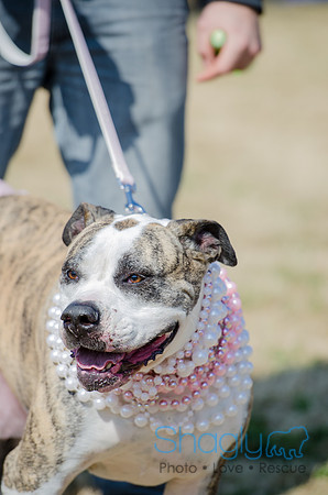 Krewe of Barkus 2012-84