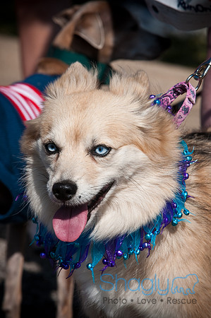 Richardson Pet Day-0151