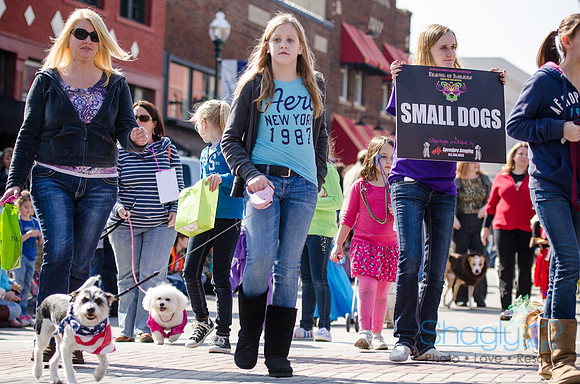 Krewe of Barkus 2012-230