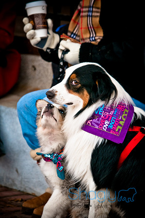 Krewe of Barkus-28
